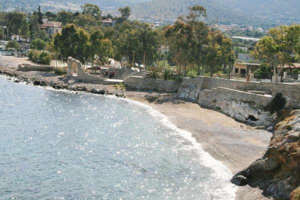 Theatraki Villa Selinia Exterior photo